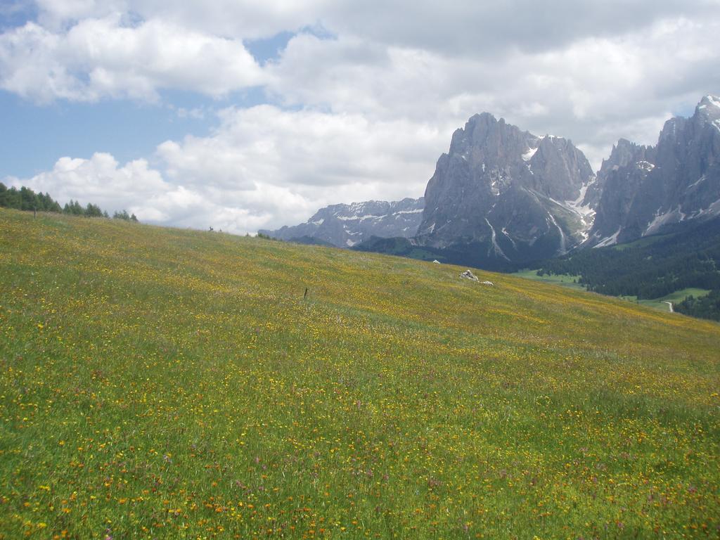 Garni La Majon Hotel Selva di Val Gardena Ngoại thất bức ảnh