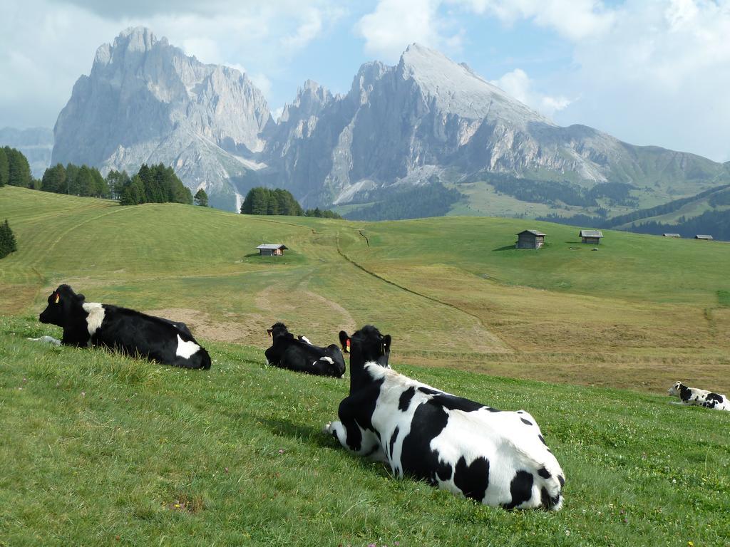 Garni La Majon Hotel Selva di Val Gardena Ngoại thất bức ảnh
